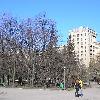 Збільшити зображення