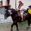 Збільшити зображення