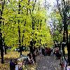 Збільшити зображення