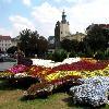 Збільшити зображення