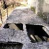 Збільшити зображення