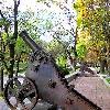 Збільшити зображення